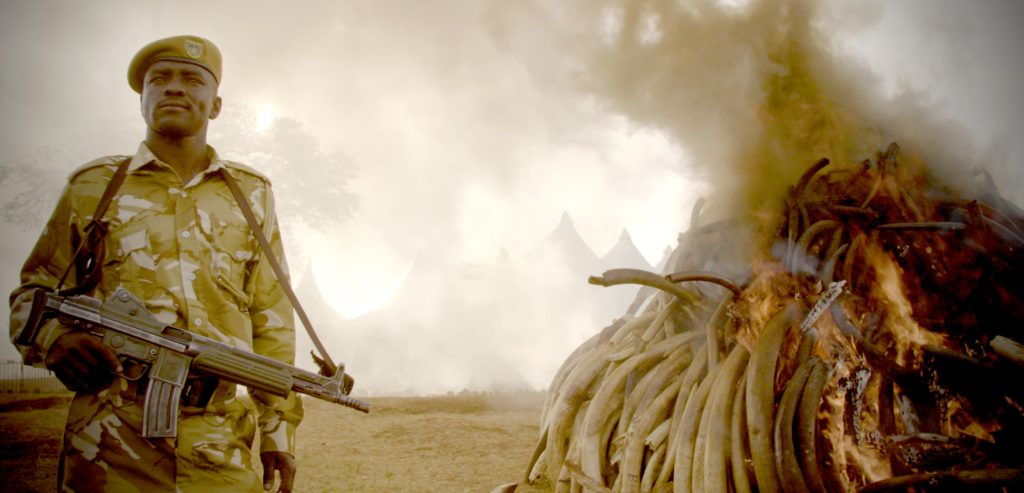 The Ivory Game - DOCUMENTAIRE de 2016 à voir
