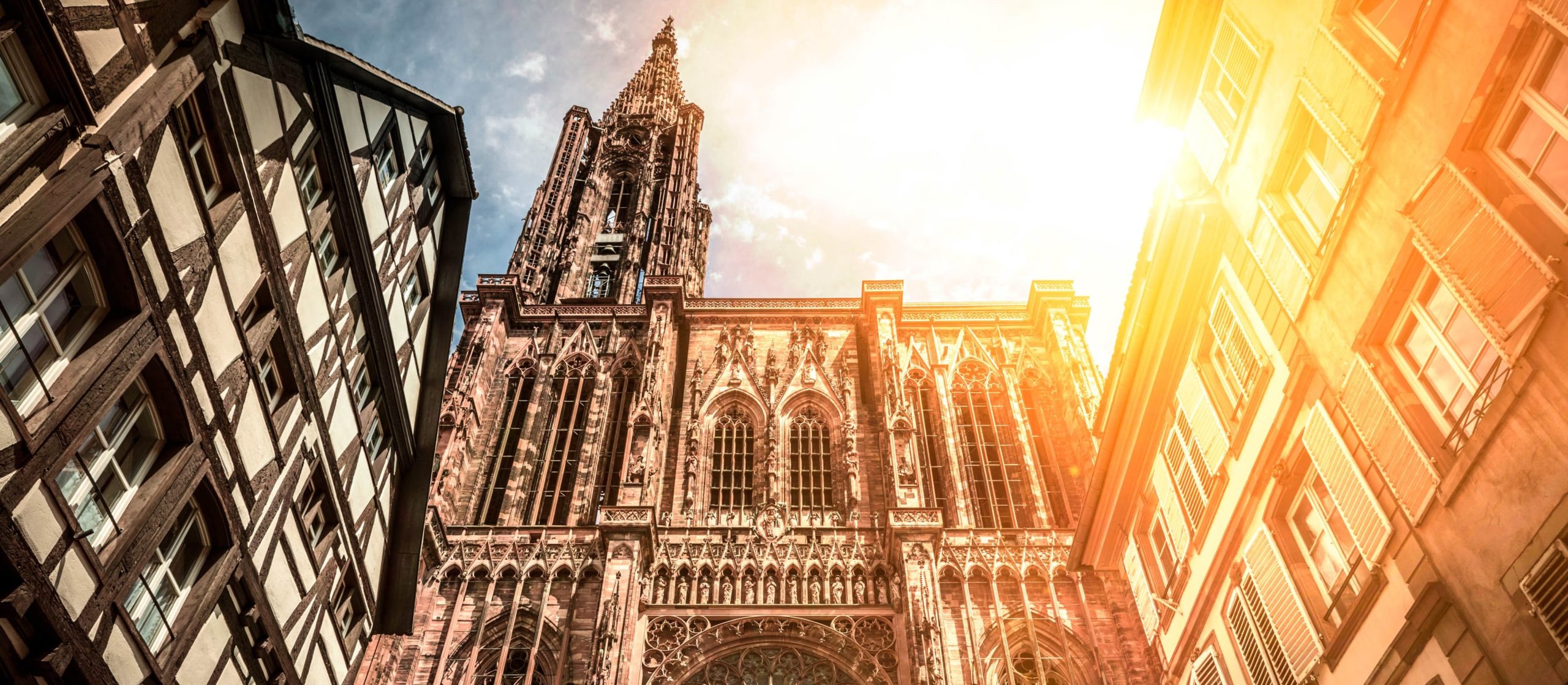 cathédrale de Strasbourg