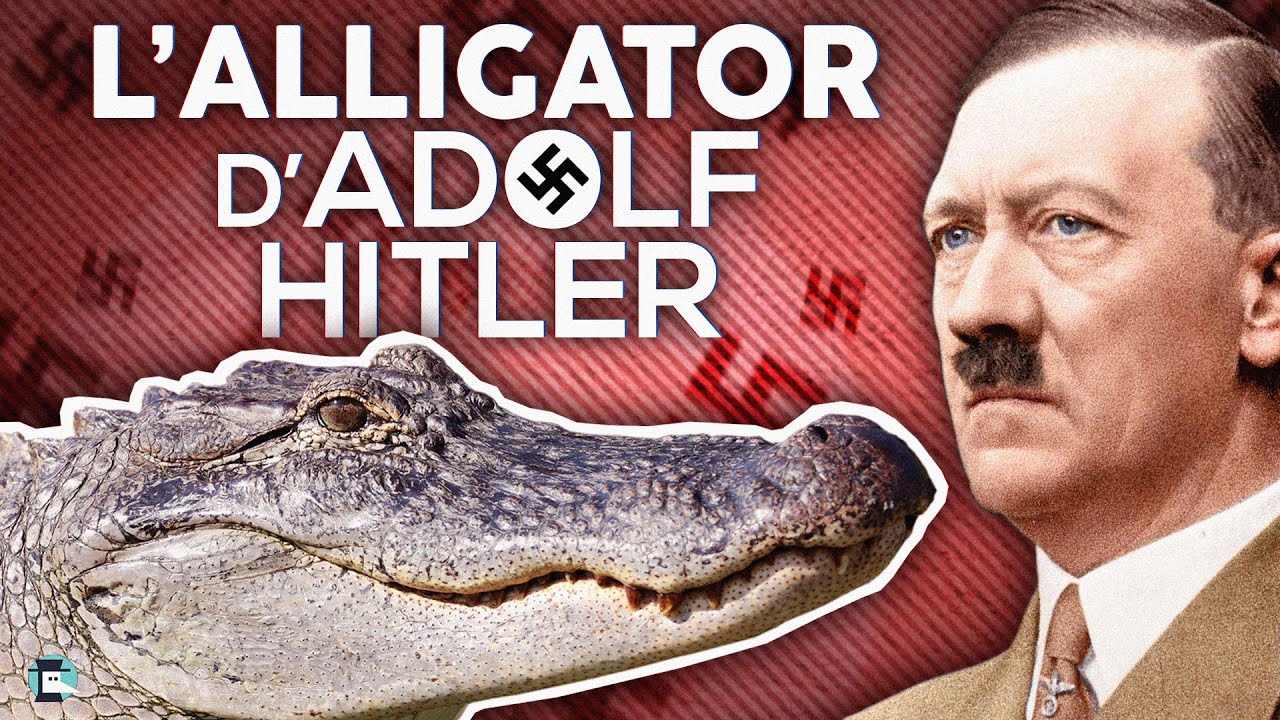 p81139 youtube thumbnail