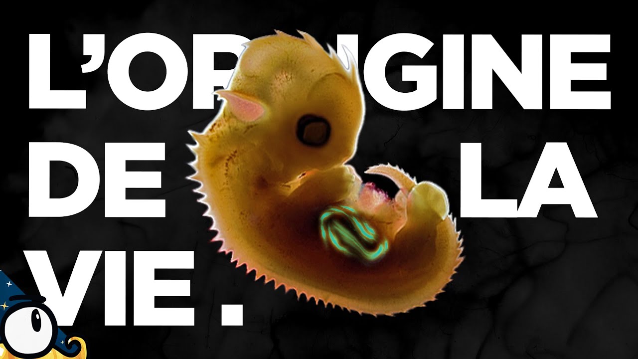 p83155 youtube thumbnail