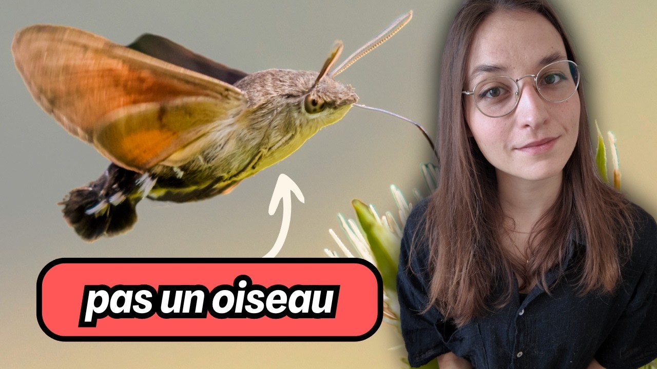 p109971 youtube thumbnail
