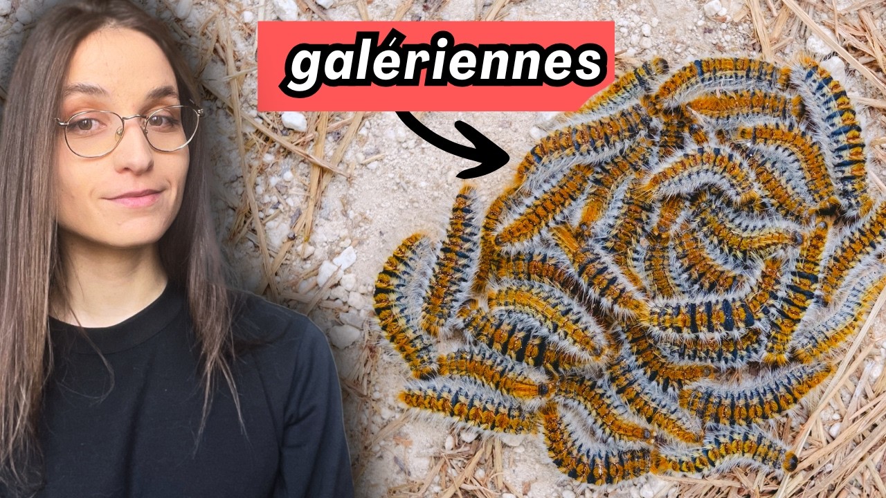 p109987 youtube thumbnail