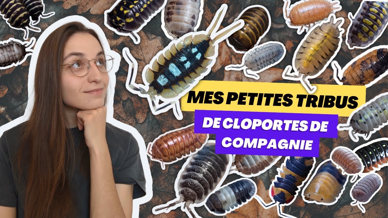 p109997 youtube thumbnail