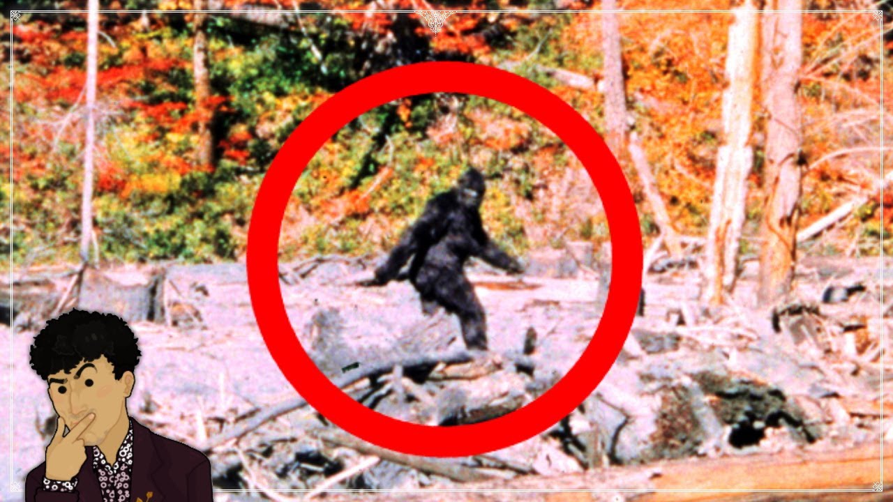 p115746 youtube thumbnail