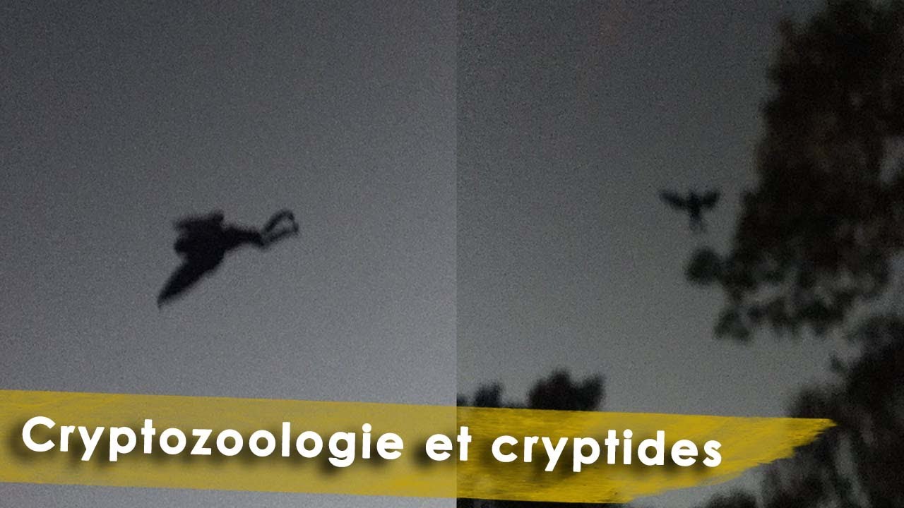 p116150 youtube thumbnail