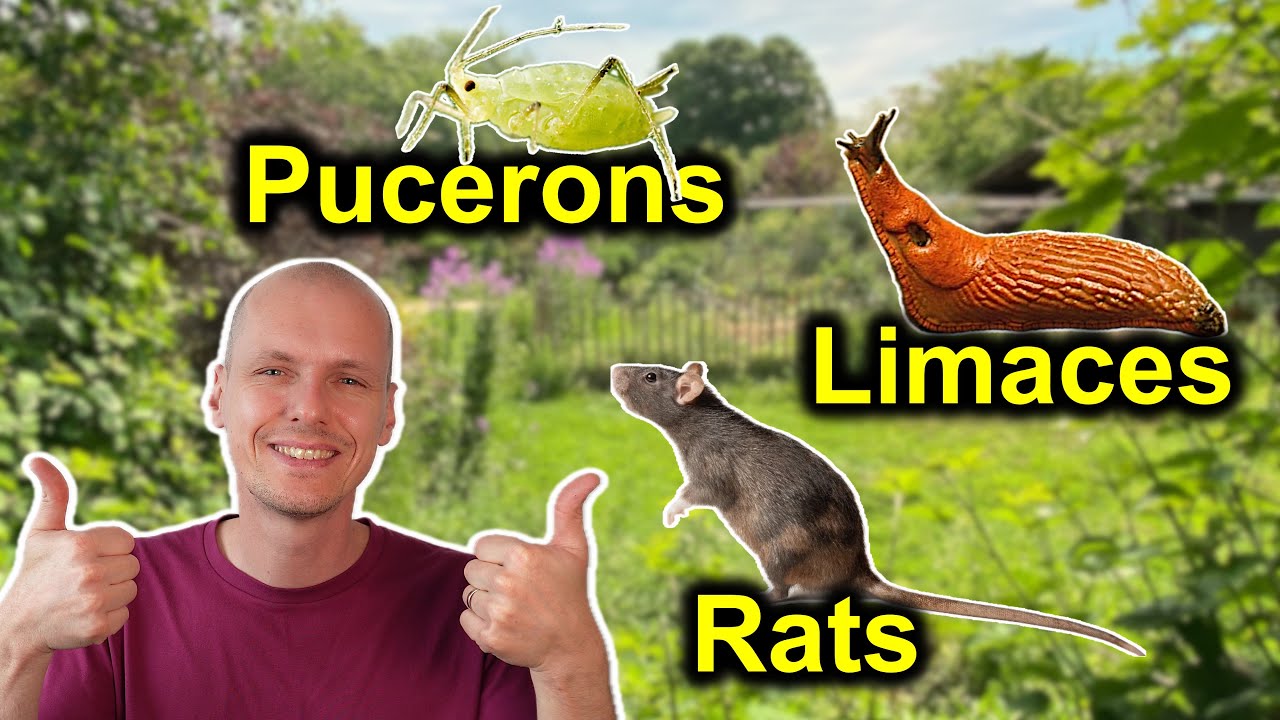 p124598 youtube thumbnail