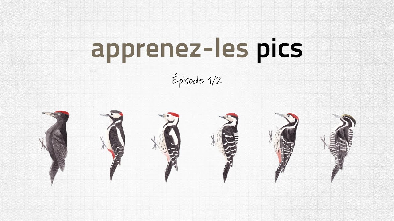 p129165 youtube thumbnail