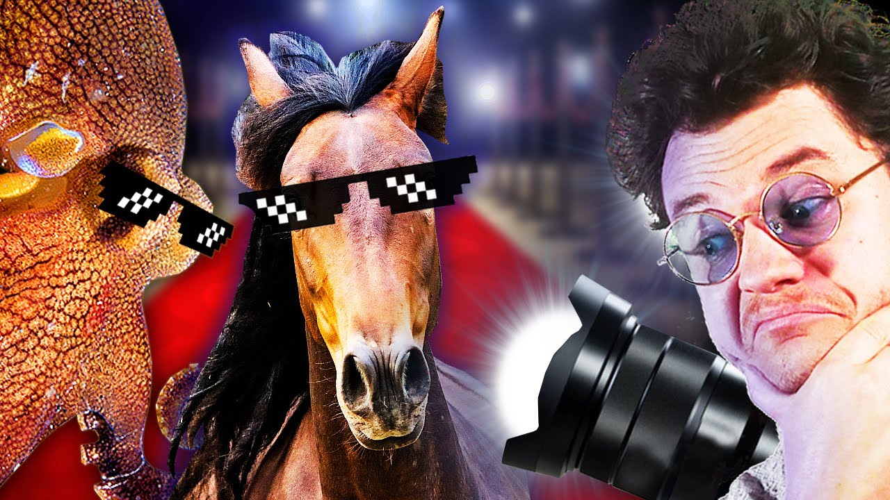 p143660 youtube thumbnail