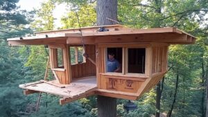 Lire la suite à propos de l’article Man Builds DIY TREEHOUSE 16ft HIGH in the Forest | Start to Finish by @Wild_Hammer