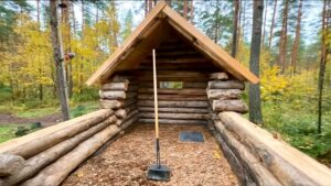 Lire la suite à propos de l’article Man Builds Log Cabin with SAUNA in the FOREST | Start to Finish by @TheVovkaCom
