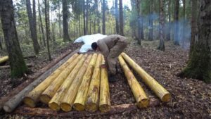 Lire la suite à propos de l’article Man Builds UNDERGROUND Log DUGOUT for Just $800 in the Forest | Start to Finish by @KopauKakXo4u