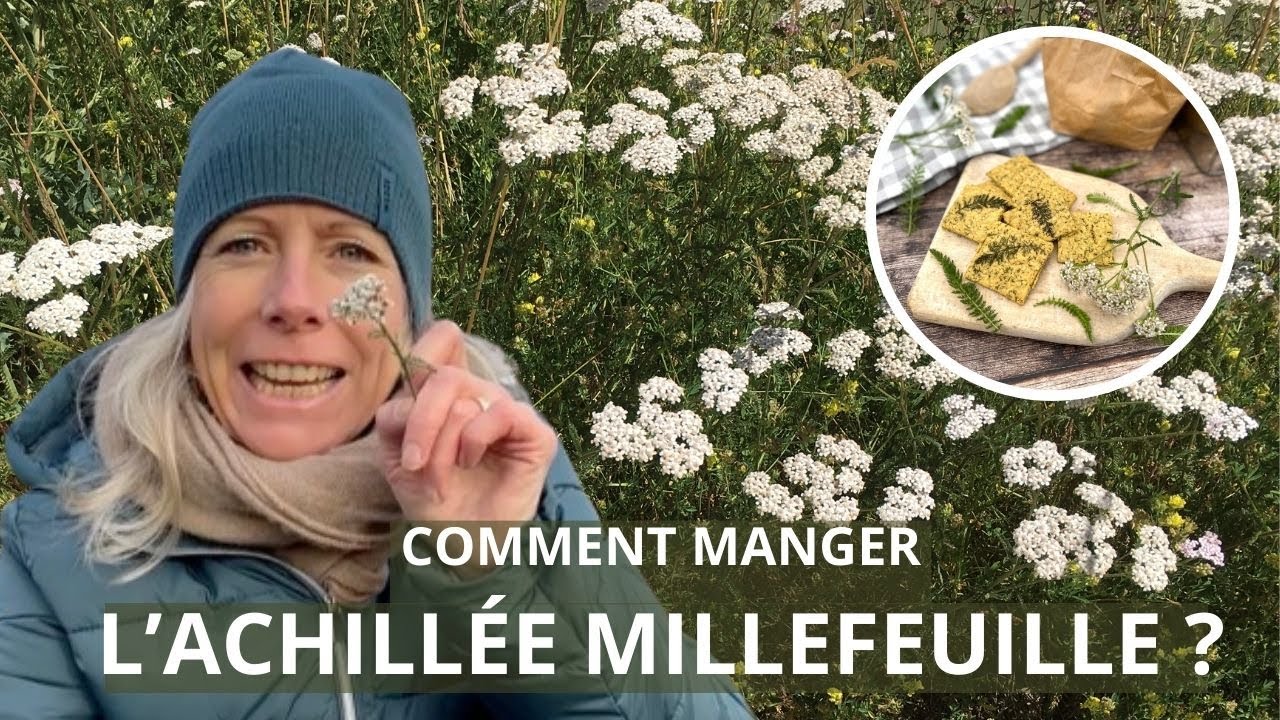p152745 youtube thumbnail
