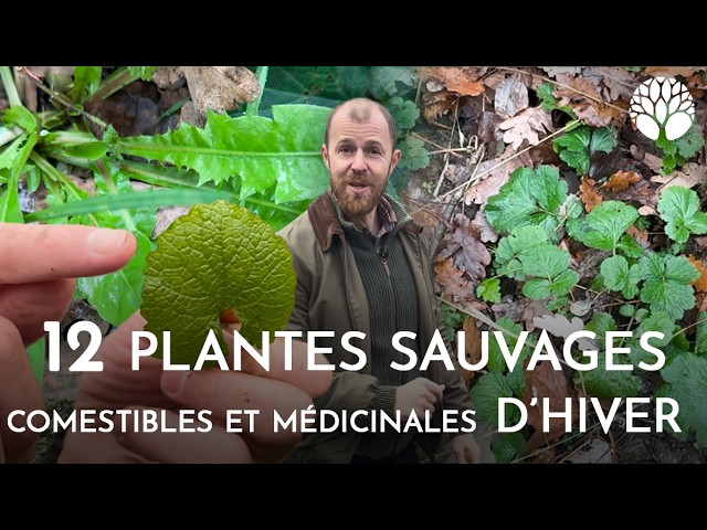 p166904 youtube thumbnail