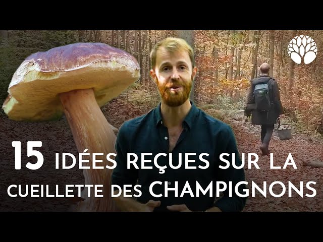 p166914 youtube thumbnail