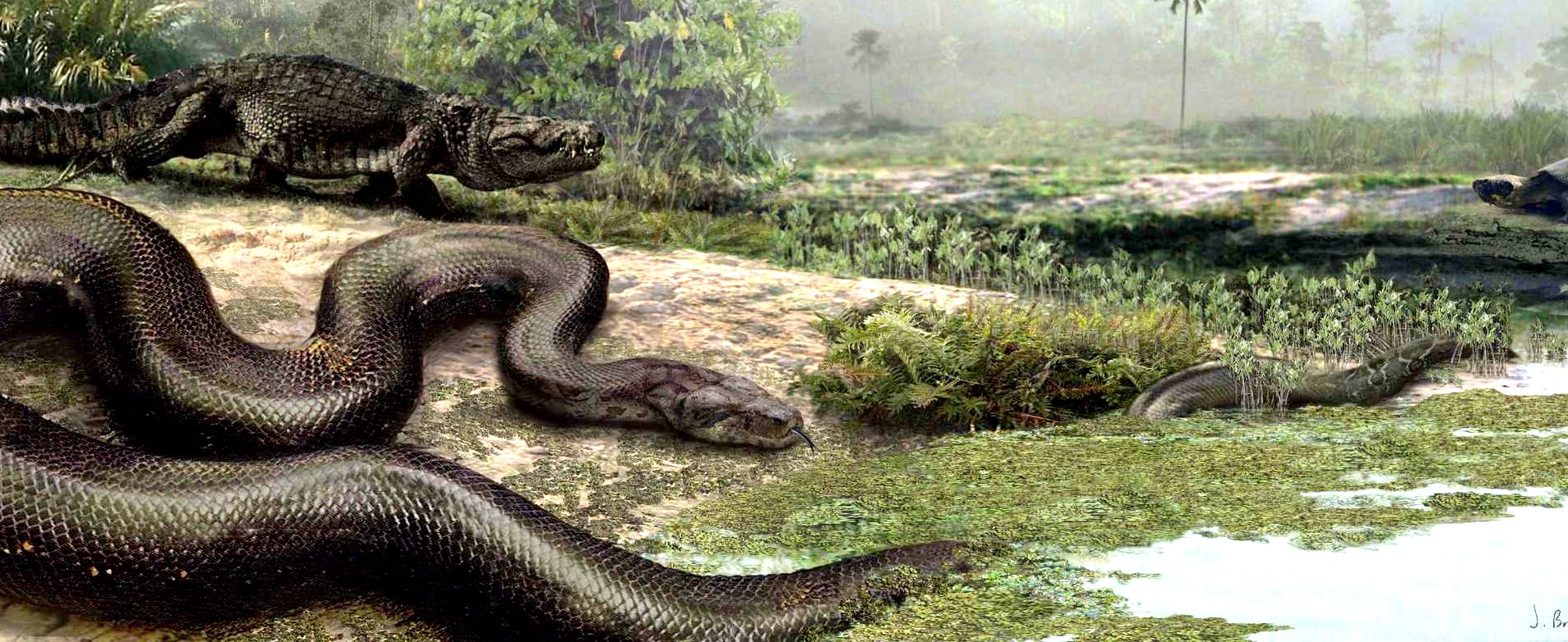 serpent géant