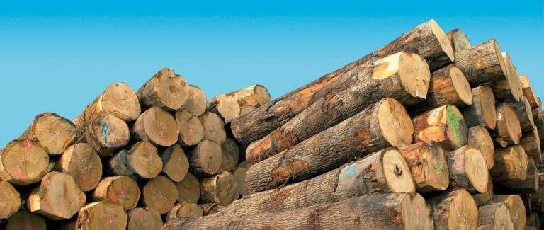 Lire la suite à propos de l’article Le bois, quelles techniques pour l’ennoblir ?