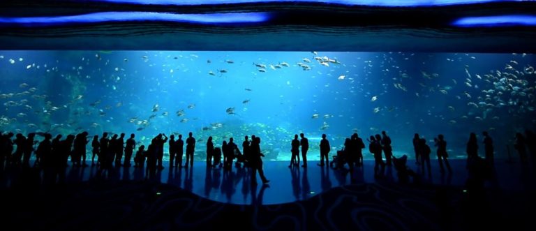 plus grand aquarium