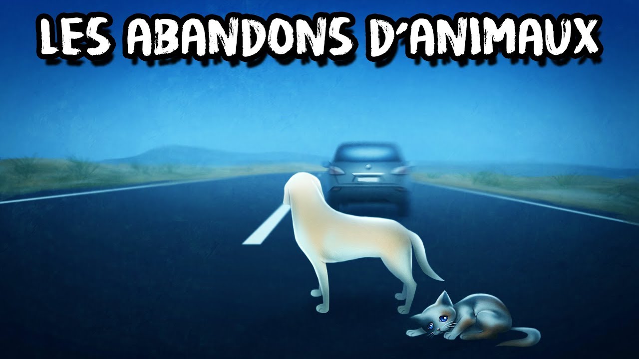 p82921 youtube thumbnail