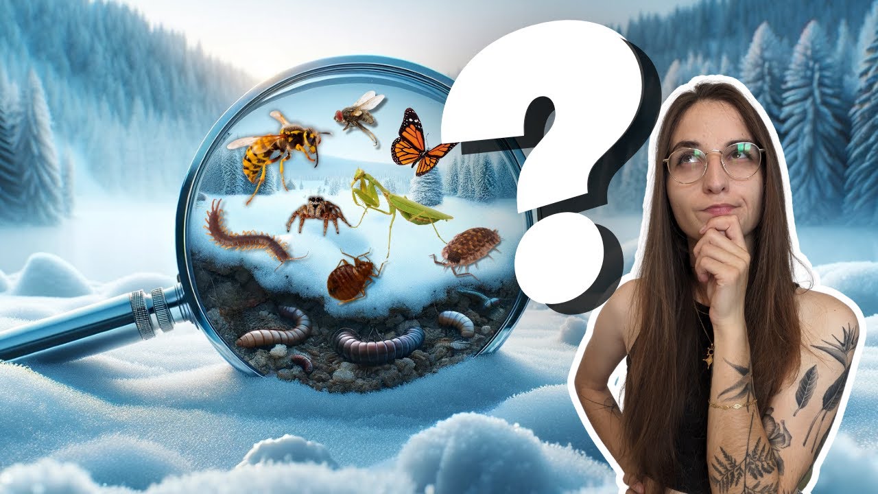 p109955 youtube thumbnail
