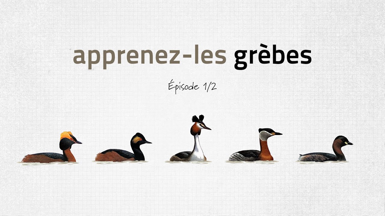 p129147 youtube thumbnail